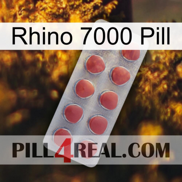 Rhino 7000 Pill 18.jpg